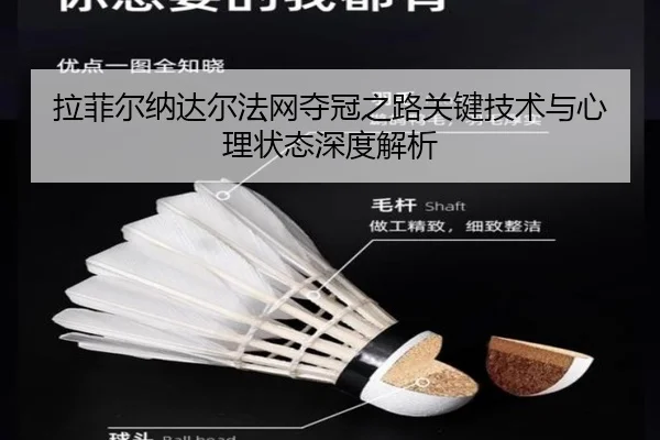 拉菲尔纳达尔法网夺冠之路关键技术与心理状态深度解析